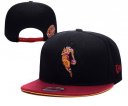 Cavaliers Snapback Hat 094 YD