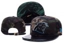 Panthers Snapback Hat 065 YD