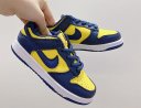 NIKE SB DUNK FOR KIDS SHOES YX1024375