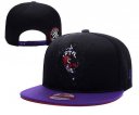 Raptors Snapback Hat 019 YD