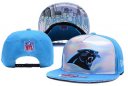 Panthers Snapback Hat 061 YD