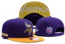 Vikings Snacback Hat 031 YD