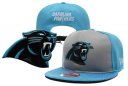 Panthers Snapback Hat 28 YD