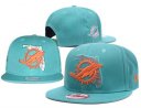 Dolphins Snapback Hat 128 YS