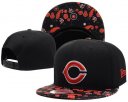 Bears Snapback Hat 35 DF