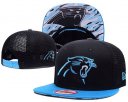 Panthers Snapback Hat 067 YS