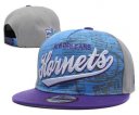 Charlotte Hornets Snapback Hat 01 DF