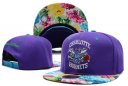 Charlotte Hornets Snapback Hat 04 DF