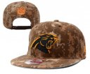 Panthers Snapback Hat-24-YD