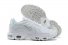 Mens Nike Air Max Plus 422 XY