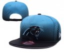 Panthers Snapback Hat 29 YD