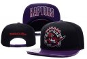Raptors Snapback Hat 018 YD