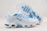 Mens Nike Air Max Plus 321 XY