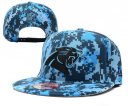 Panthers Snapback Hat-25-YD