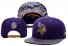 Vikings Snacback Hat 021 YD