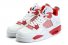 Mens Air Jordan 4 Shoes 028