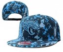 Jaguars Snapback Hat 14 YD
