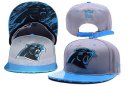 Panthers Snapback Hat 062 YD
