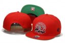 49ers Snapback Hat 191 YS