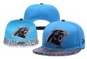 Panthers Snapback Hat 064 YD
