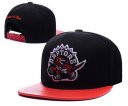 Raptors Snapback Hat 012 LH