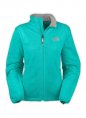 Womens The North Face Osito Jacket Green