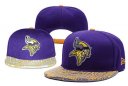 Vikings Snacback Hat 025 YD