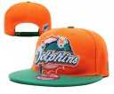 Dolphins Snapback Hat-25-YD