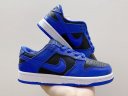 NIKE SB DUNK FOR KIDS SHOES YX1024379