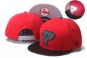 Falcons Snapback Hat 074 YS