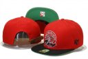 49ers Snapback Hat 190 YS