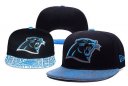 Panthers Snapback Hat 063 YD