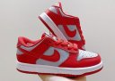 NIKE SB DUNK FOR KIDS SHOES YX1024373