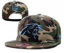 Panthers Snapback Hat-26-YD