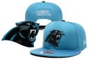 Panthers Snapback Hat 27 YD