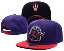 Raptors Snapback Hat 008 LH