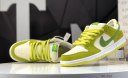 Nike Dunk SB Low DM0807-300 173645