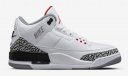 Mens Air Jordan 3 Shoes 030