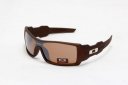 Oakley Limited Editions 5889 Sunglasses (10)
