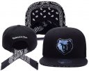 Grizzlies Snapback Hat 015 TX